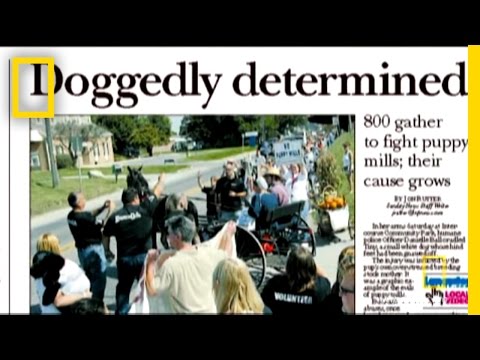 Puppy Mills