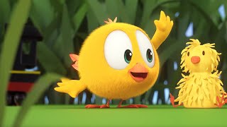 THE GARDEN | Where's Chicky? Funny Chicky | Cartoon Collection in English for Ki