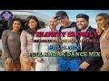 SLOWLY SLOWLY | FT. GURU RANDHAWA | PITBULL | HALGI DANCE MIX | DJ NILESH NDB