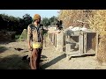 Aseel Murga Tik Tok Video | Aseel Murga Video | ARY DTT