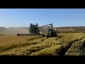 JD STS-JD 7810 COSECHANDO ARROZ EN ALCOLEA DE CINCA