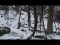 Rifle Season 2010 Deer Hunting Pennsylvania 4 images Rifle Season 2010 Deer Hunting Pennsylvania 4