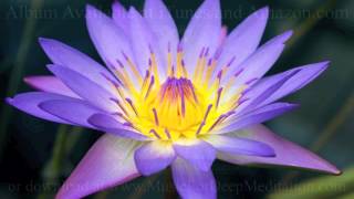 Relaxation Music Classical Indian Flute By Music For Deep Meditation With Vivek Sonar Relaxation Music Classical Indian Flute By Music For Deep Meditation With Vivek Sonar