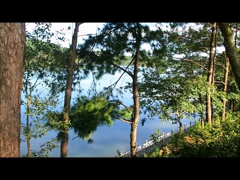 Đại Ngàn Tây Nguyên - Thành Phố Pleiku - Gia Lai