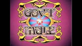 Watch Govt Mule Mr Big video