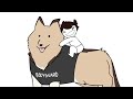 My Dog Stories