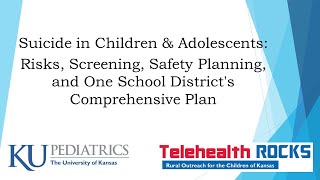 TelehealthROCKS ECHO Keeping Kids Safe series: Session 2