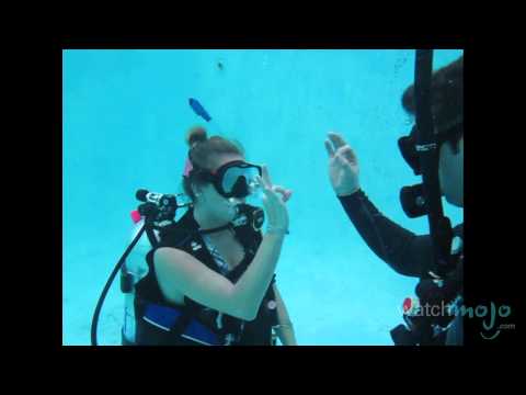 0 Scuba Diving: Underwater Skills and Lessons