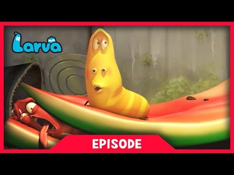 LARVA - WATER MELON | 2017 Cartoon Movie | Cartoons For Children | 라바 | LARVA Official