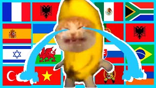 Happy Banana Cat In Different Languages Meme Lemon Mix