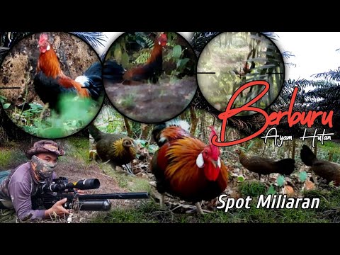 Bener bener spot miliaran sampai ada penampakan setan merah @huntergumarapus1833