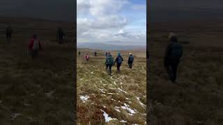 Knowe Fell