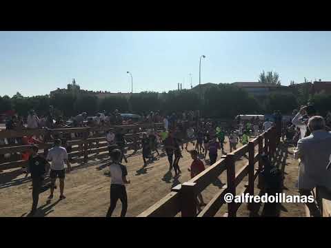 Susto en el último encierro Móstoles (16-09-18)