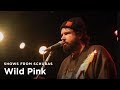 Wild Pink - Yolk In the Fur | Show from Schubas