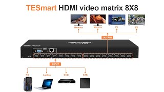 Tesmart Hdmi Matrix 8X8 A30-Basic Version Lan Ports