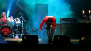 Watch Die Toten Hosen The Guns Of Brixton video