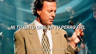 Watch Julio Iglesias Ni Tu Gato Gris Ni Tu Perro Fiel video