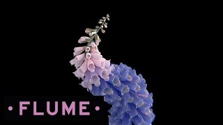 Flume - Tiny Cities Feat. Beck