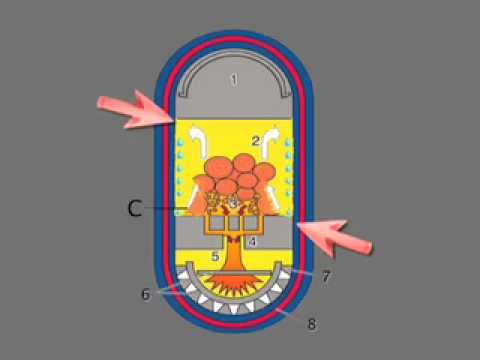 Watch The phenomenon of corrosion into the gasification boilers (ENG)