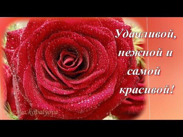 Короткое смс с днем рождения любимой женщине Короткое смс с днем рождения любимой женщине