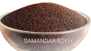 Samandar Sokh Samandar Sukh Surat E Inzal Premature Sheegrpatan