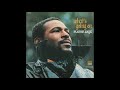 Marvin Gaye Inner City Blues Make Me Wanna Holler Marvin Gaye Inner City Blues Make Me Wanna Holler