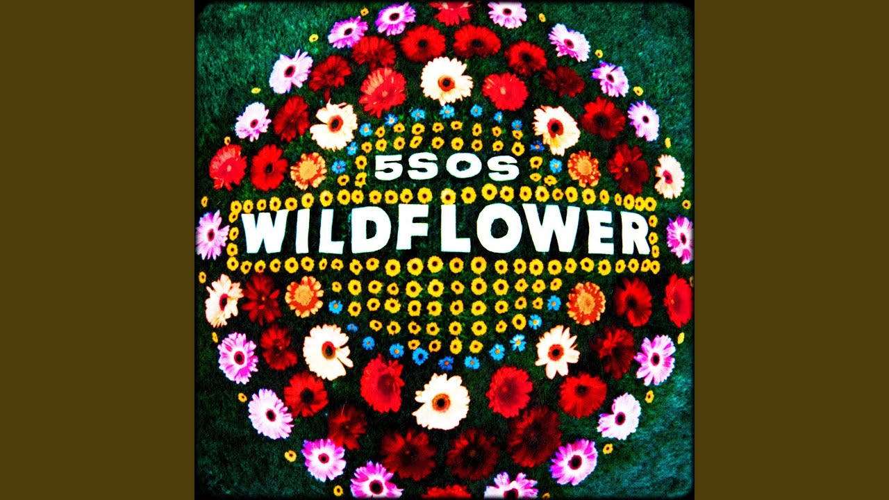 Wildflower 5 Seconds Of Summer Mp3 Avec Paroles A Ecouter Et