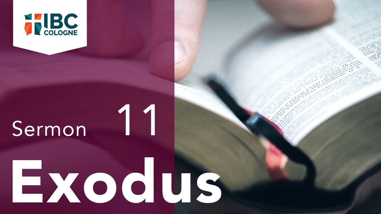 I am the Lord // Exodus 8 - 10 // Zack Carlens