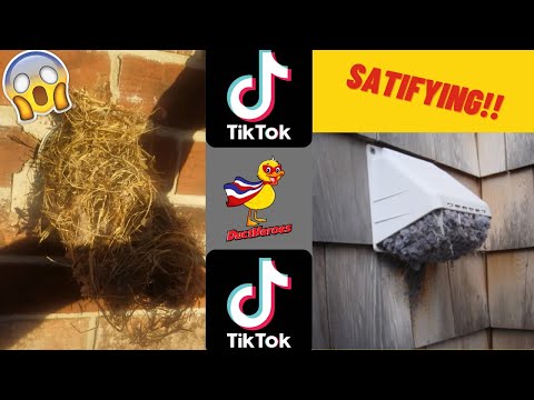 Satisfying Dryer Vent Cleaning #9 (TikTok Edition)