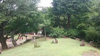 Parc des singes de Iwatayama à Kyoto, au Japon - Vidéo 2