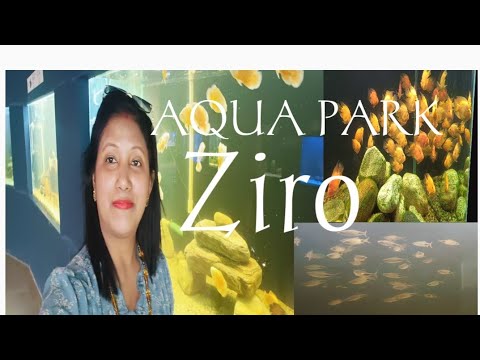 Aqua park đī¸ Tarin, Ziro Arunachal Pradesh North East Aqua park đī¸ Tarin, Ziro Arunachal Pradesh North East