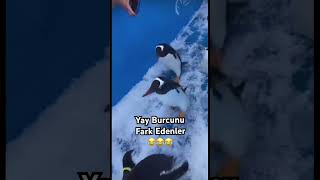 Olsak Kendimizi Belli Ederiz