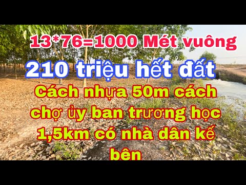 Bán đất giá rẻ Tây ninh cách nhựa 50 mét 13*76 giá 210 triệu hết đất || châu Bds T62