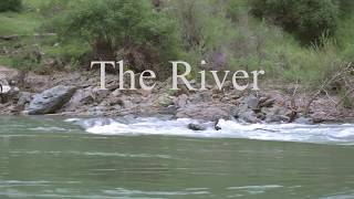 The River