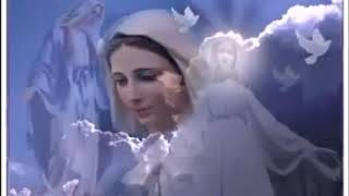 Metanet Duyqulumenim Nagilim