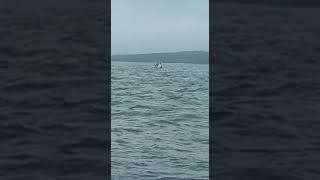 Tadadi Karnataka Boat Accident