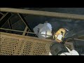 Portal 2 Walkthrough: Chapter 7 the Reunion ( Part 2)