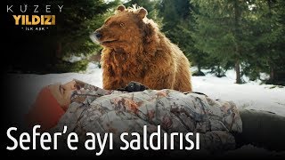 Kuzey Yıldızı İlk Aşk 15. Bölüm - Sefer'e Ayı Saldırısı