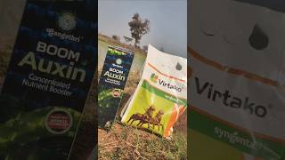 Virtako, Boomaxin Better