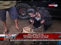 SONA: Iba't ibang uri ng endangered species mula sa Palawan, nasabat ng PAWB