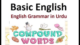 English Book 5 PTB An Ant's Language L 13.8 آؤ انگلش سیکھیں