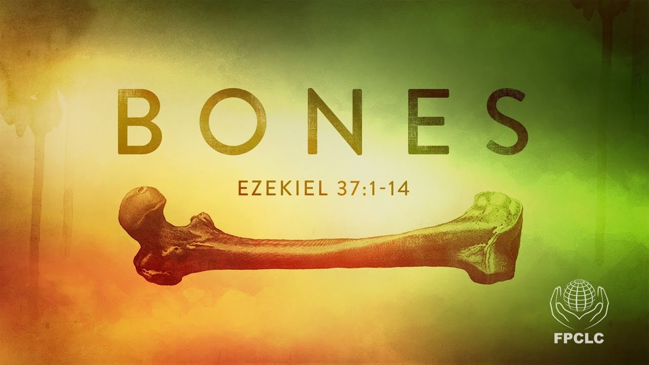 First Presbyterian Church, Lake City - March 29th, 2020 - Full Service