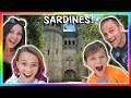SARDINES IN A REAL CASTLE! | HIDE AND SEEK | We Are The Davis...