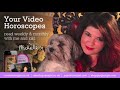 Virgo weekly astrology 19 August with MIchele Knight