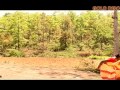 Santali Short Movie | Sagun Pera | Satali Video | Gold Disc Santali Short Movie | Sagun Pera | Satali Video | Gold Disc