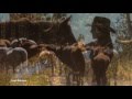 Cowgirl Daydream - Anne Trenning