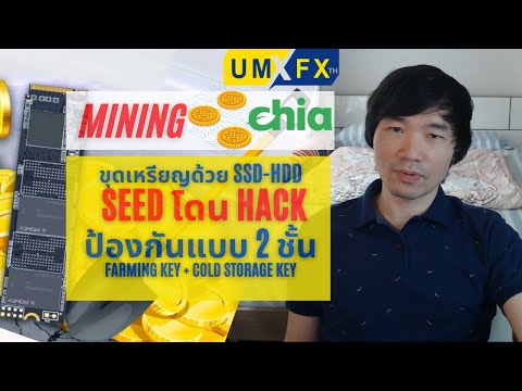 ขุดเหรียญ Chia ยังไงให้ปลอดภัย! / Seed โดน Hack ทำยังไงดี?