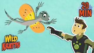 Leaping Lizards Draco Lizards, Komodo Dragons & More Animals For Kids Wild Kratts