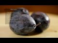 antioxidants