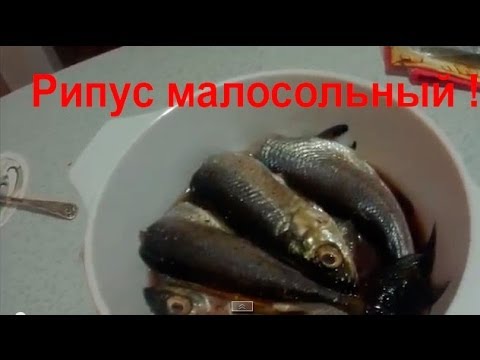 Как засолить рипуса в домашних условиях Как засолить рипуса в домашних условиях